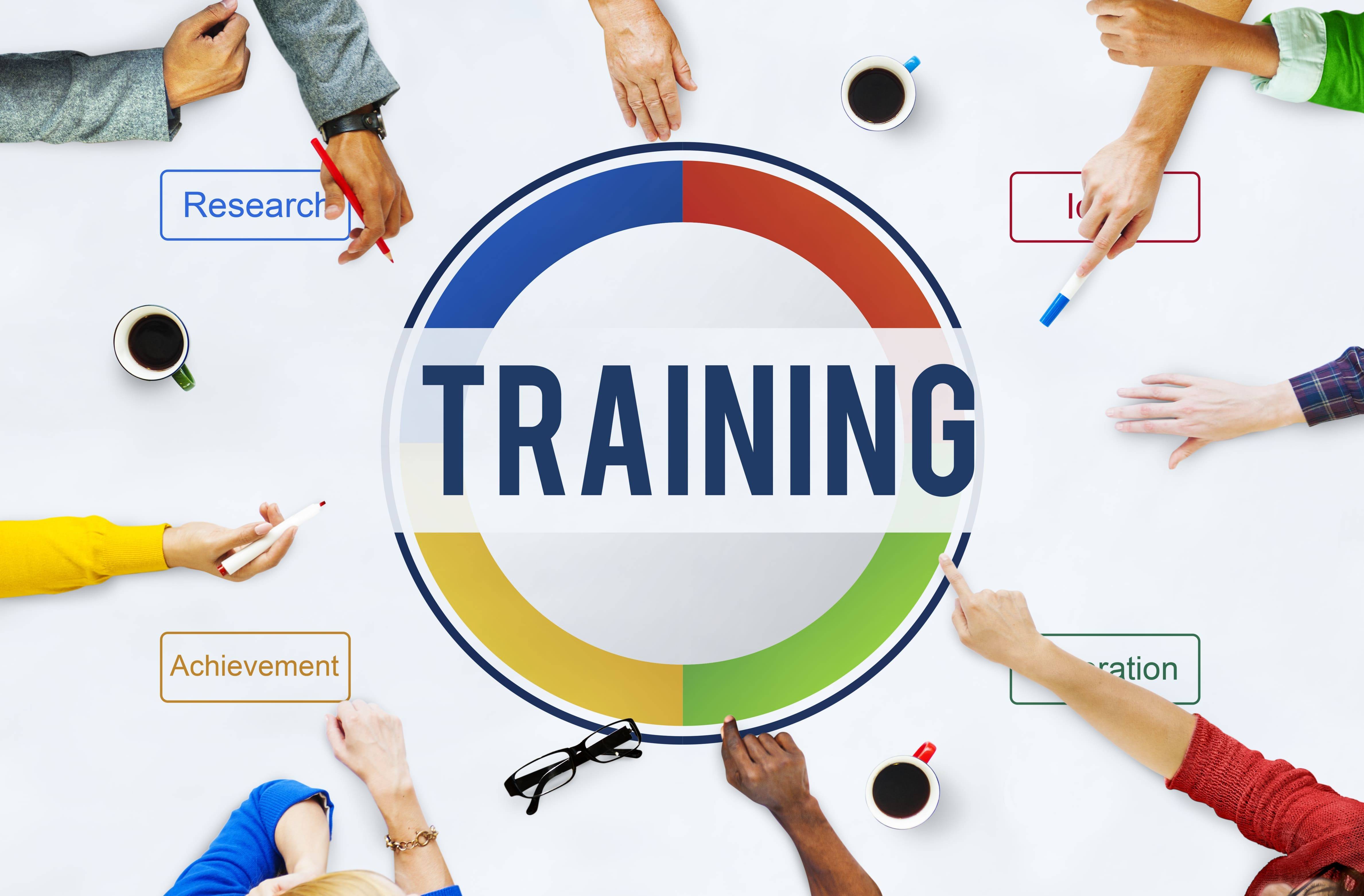 Training & Development